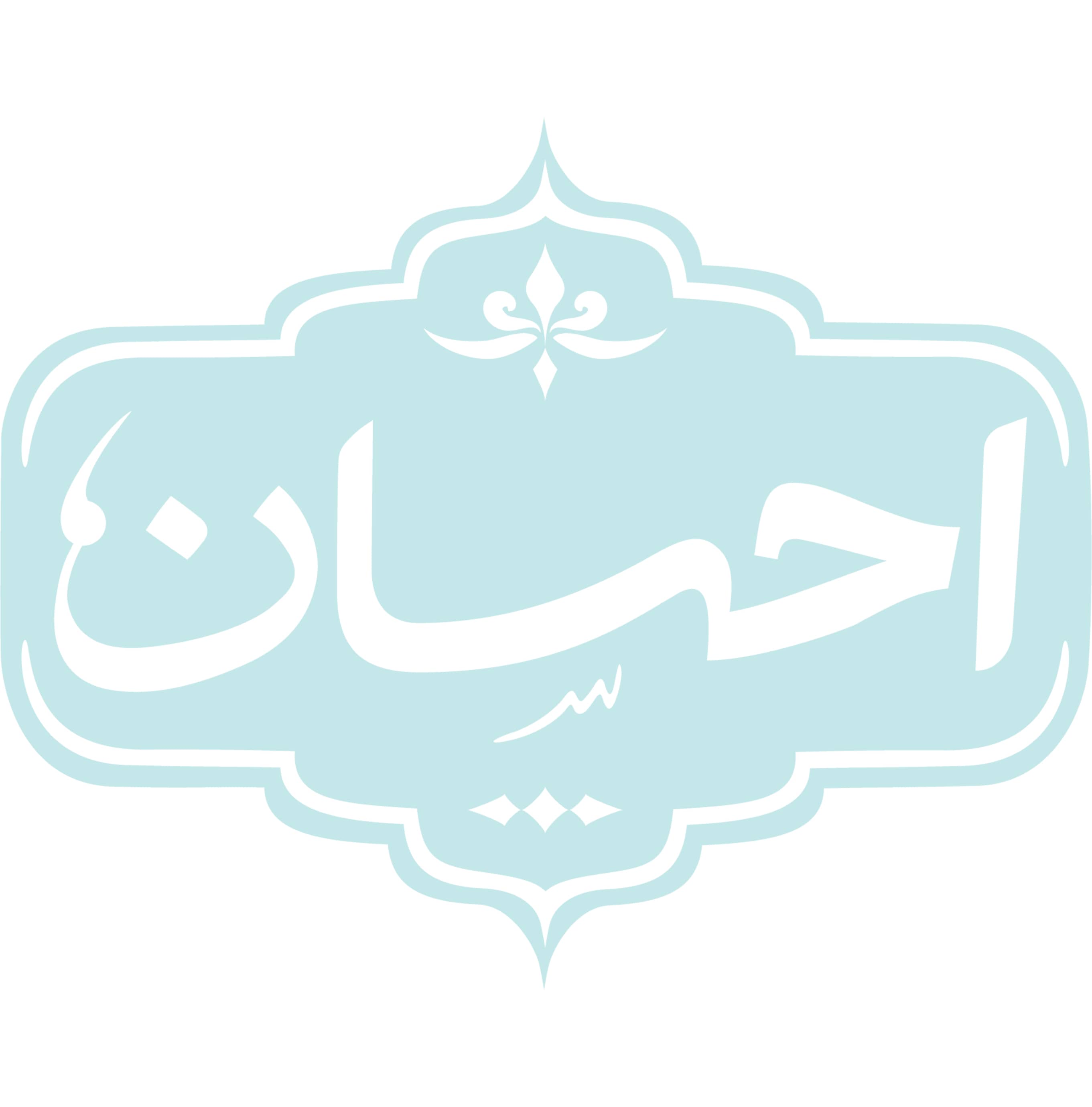 ژامبون مرغ و قارچ