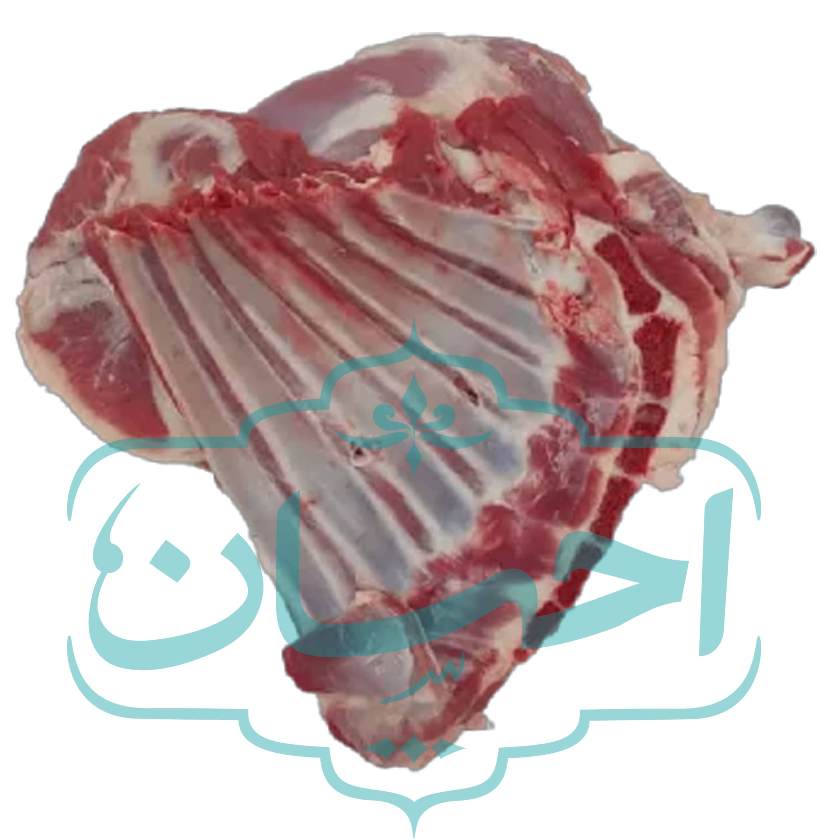 سردست بدون ماهیچه گوسفندی