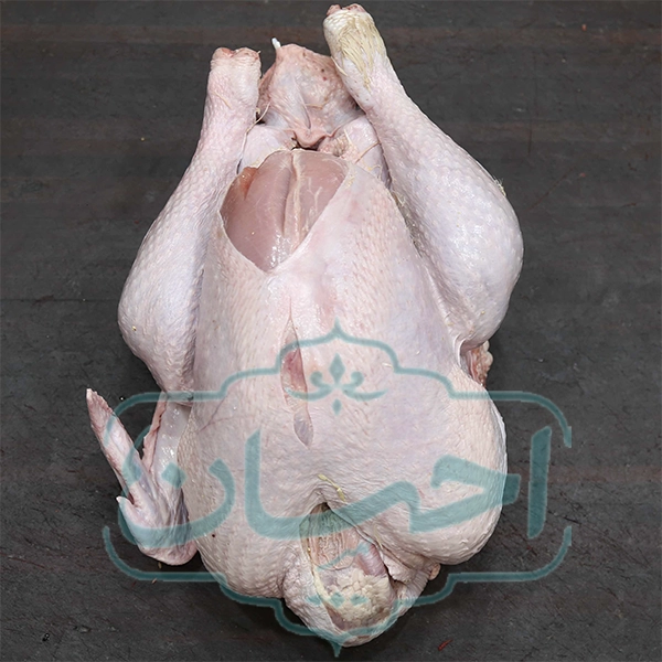 بوقلمون کامل